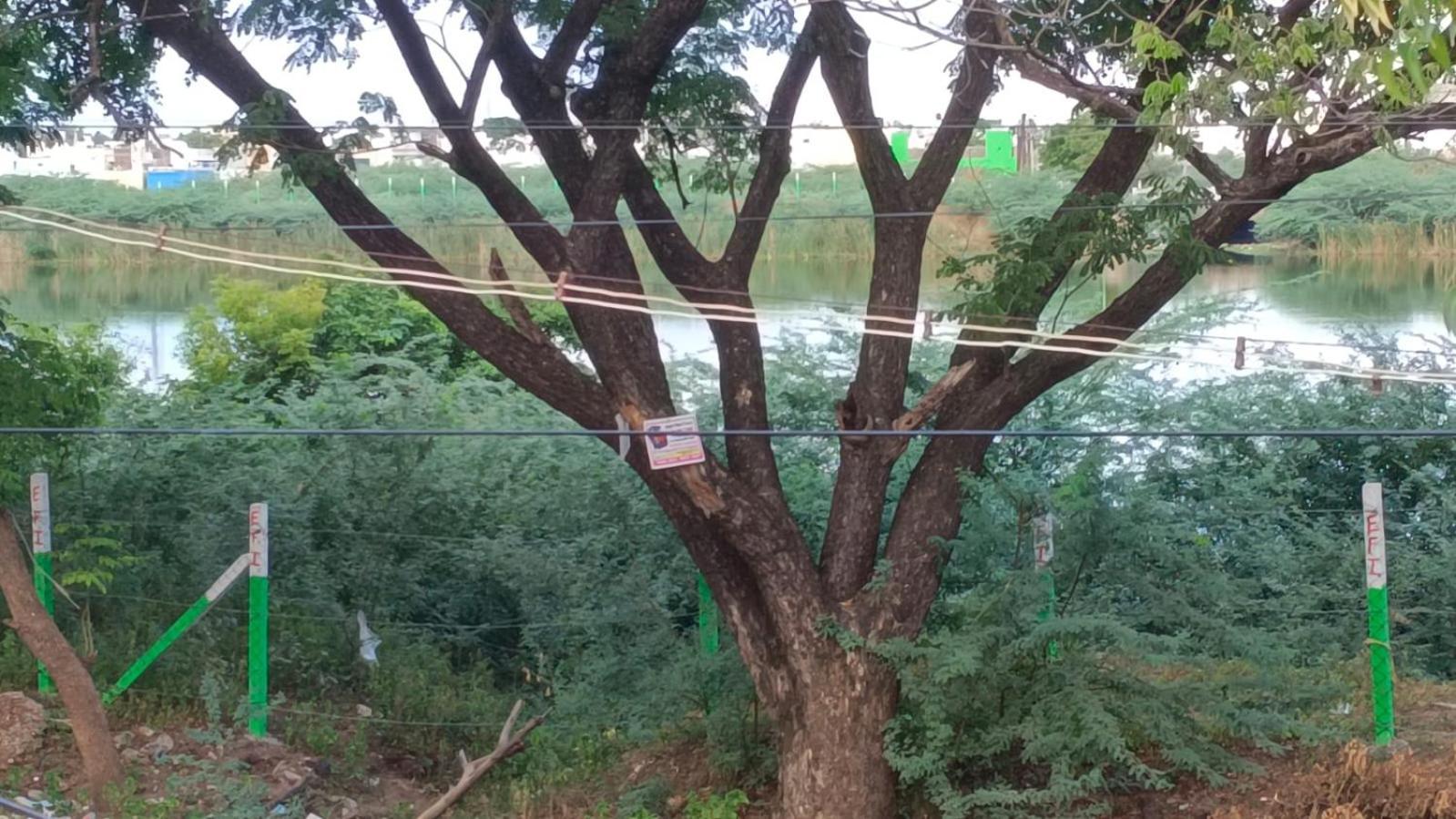 Madurai Koodal Nagar Homestay エクステリア 写真